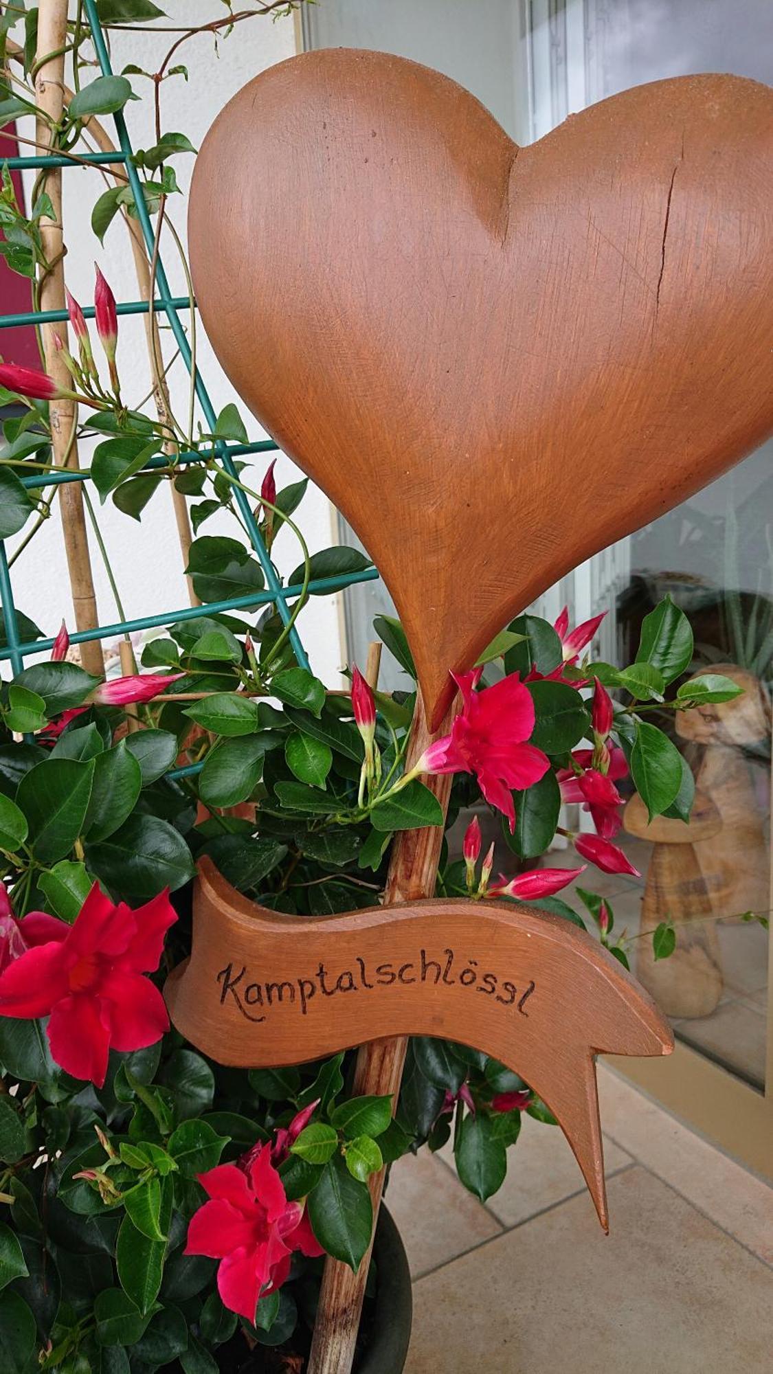 Kamptalschloessl Hotel Plank am Kamp Luaran gambar